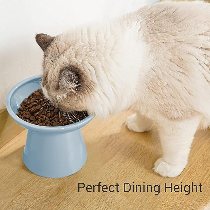 Extra Wide Elevated Ceramic Cat Food Bowl - 6.2" Shallow Dish for Whisker Fatigue Relief, 5" Height for Easy Feeding, Lead & Cadmium Free, Durable Raised Cat Food Bowls, Blue