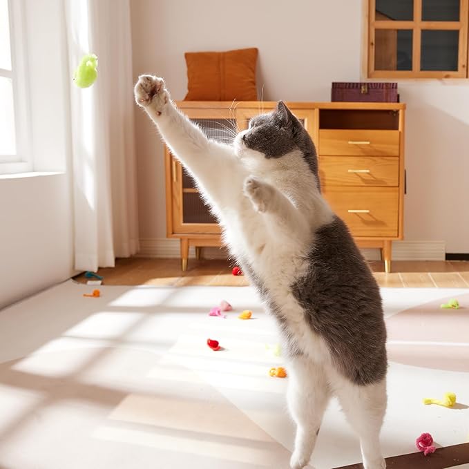 Yangbaga Mice Rattle 14 Pack, Cat Toys Rainbow Mice for Cats and Kittens (62pcs Rainbow mices)