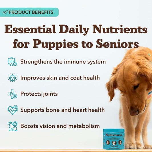 Natural Dog Company 25 in 1 Multivitamin for Dogs – Daily Soft Chews with Vitamins, Minerals & Antioxidants, Immune & Joint Support, for All Ages, Sizes & Breeds, Bacon & Peanut Butter – 90 Count