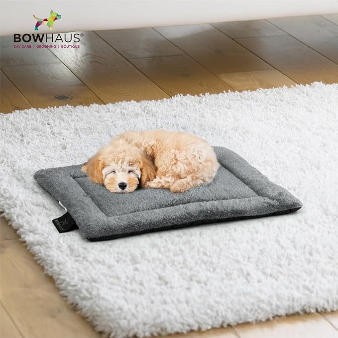 20.8" x 15” Machine-Washable Fluffy Dog Bed for 24" Kennel, Soft Crate Mat with Non-Slip Bottom, Cozy Pet Pad for Sleeping, Small Dog Kennel Flat Bed