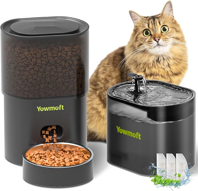 Automatic Cat Feeder & Fountain, 3L Timed Dry Food Dispenser, 10 Portions 1-4 Daily Meals, Auto Feeder with Desiccant Bag, Water Dispenser with Filter, Wire or Battery Powered