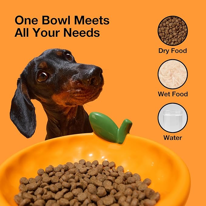 VETRESKA Ceramic Pet Bowl Tilted Design Pet Feeder for Food and Water Anti Vomit Cat Bowls for Indoor Cats Cute Tangerine Cat Bowl Dishwasher Safe