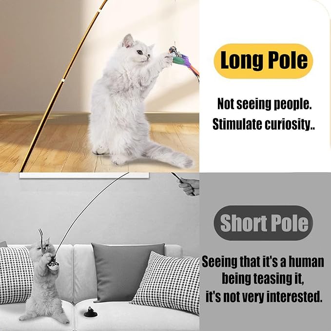 Interactive Cat Wand Toys Set, 2PCS Cat Teaser with 6 Replacement Birds, Feathers & Bells for Indoor Play