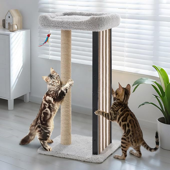 Veehoo 35" Tall Cat Scratching Post for Indoor Cats Adult, Sturdy Cat Scratch Pad with Replaceable Metal Frame Scratching Board, Large Scratch Post with Plush Top Bed