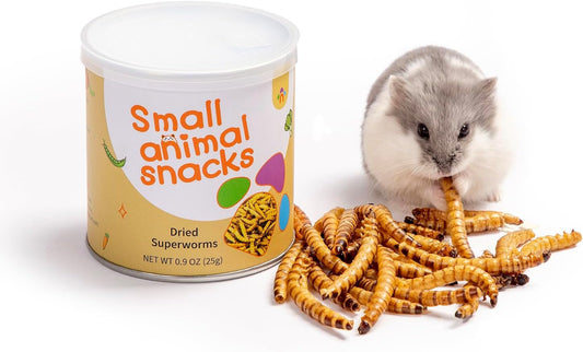 Niteangel Small Animal Snack & Treats - Small Critter Natural Treat for Dwarf Syrian Hamsters Gerbils Mice Sugar Glider Hedgehogs Chickens Birds (Dried Worms- 0.9oz (25g))