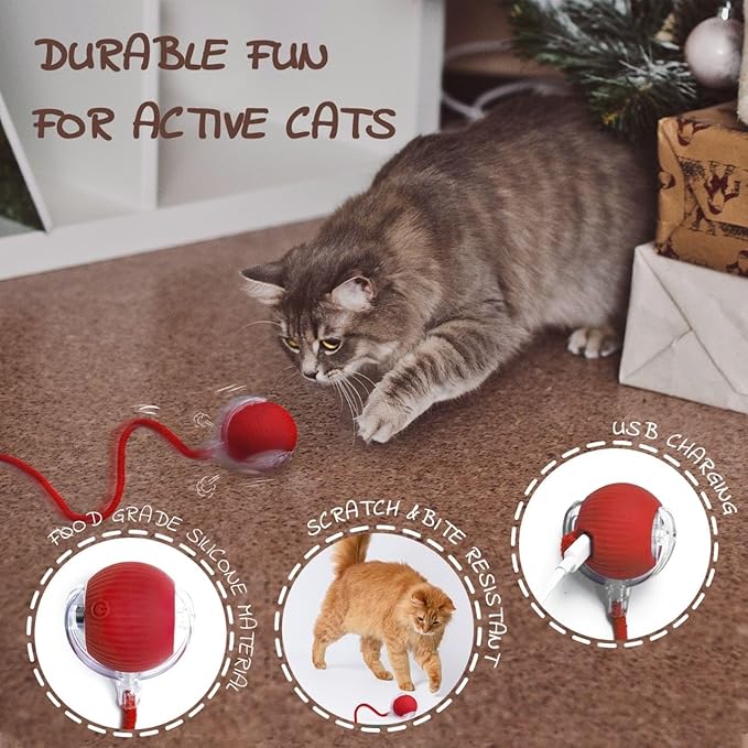 Interactive Rolling Cat Toy Ball, Chewie 360° Smart Automatic