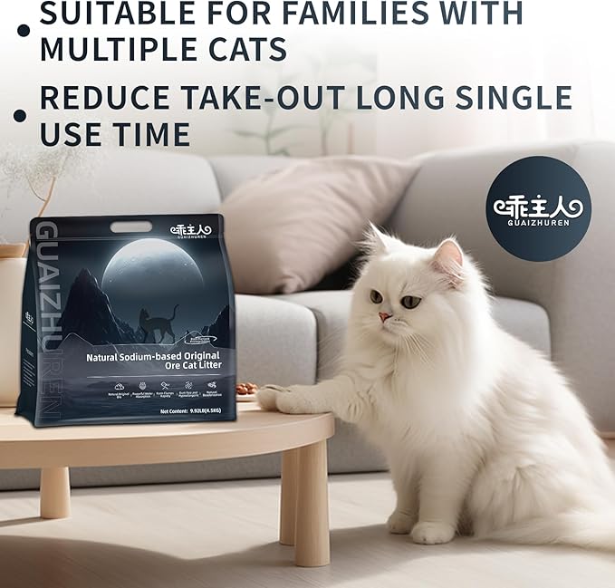 Natural Sodium-Based Raw Mineral Cat Litter | Dust-Free, Ultra Absorbent, Odor Control | Eco-Friendly, Low Tracking, Clumping Cat Litter (2 * 9.9LBS_Black Diamond)