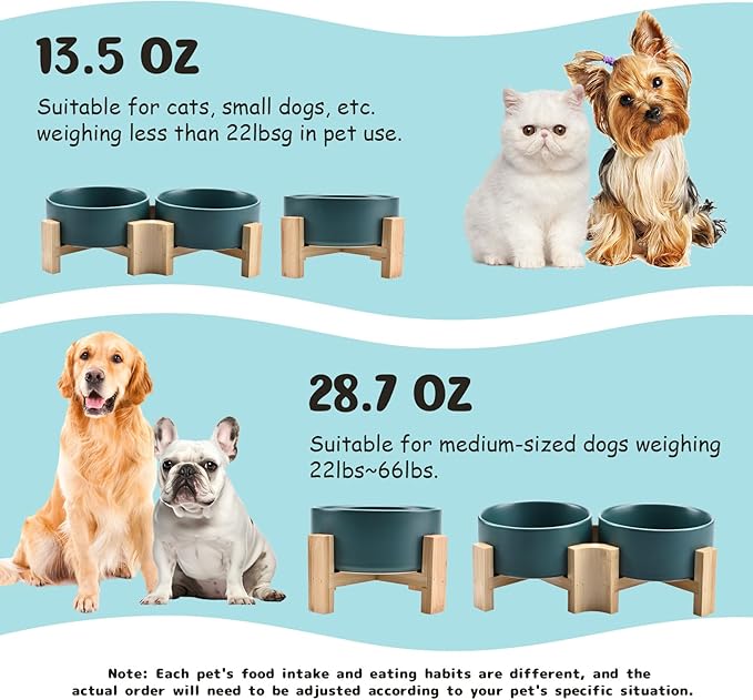 SPUNKYJUNKY 15° Slanted Ceramic Dog and Cat Bowl with Wooden Stand, Tilted Bulldog Food and Water Bowl No Slip Non-Spill for Cats Medium Dogs Big Face Pets 13.5 OZ (1.7 Cups, Green × 2)