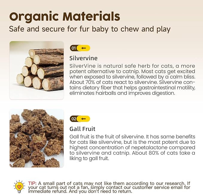 Potaroma 3 Pack Natural Silvervine Sticks Cat Toys, Catmint Silvervine Blend Sticks, Catnip Kittens Chew Toys Teeth Cleaning, Matatabi Dental Care Cat Treat Edible Kitty Lick Toys, Package May Vary