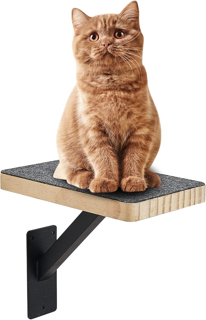 Cat Wall Climbing Steps Pack of 3 - Sturdy Wall Floating Shelves, Indoor Cat Furniture & Perch, Hammock Bed, Ladder Stairs - Easy to Install