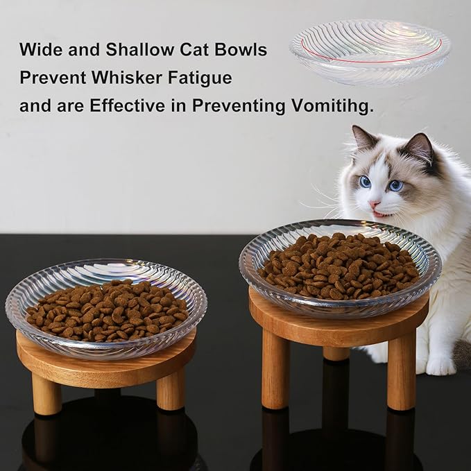Cat Bowls Whisker Friendly with Wooden Stands. Raised Elevated Glass Whisker Fatigue Cat Bowl for Indoor Cats. 2PCS (Rainbow Colors)