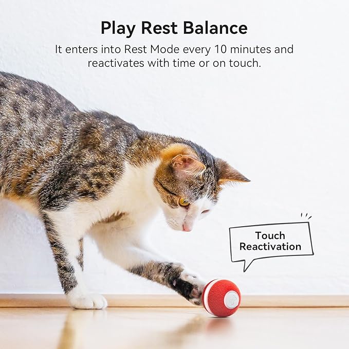 Cheerble Interactive Cat Ball Toy, Automatic Moving Ball Toy for Indoor Cat Kitten, Electric Pet Toy Fun Gift with Light, High Energy Cat Toys, Red