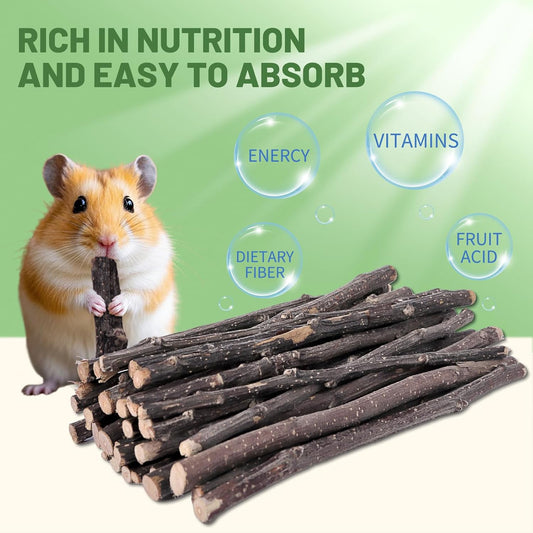 Natural Apple Wood Chew Sticks 300g (10.5oz) for Rabbits, Hamsters, Chinchillas, Guinea Pigs - Small Animal Dental Toys, Safe Untreated Teeth Grinding & Boredom Relief, Rodent Molar Health (300g)