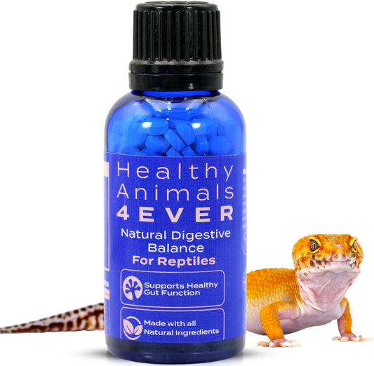 HA4E - Reptile Digestive Support - Natural Relief for Impaction, Bloating & Slow Digestion - Promotes Gut Health & Regularity - 300 Tablets