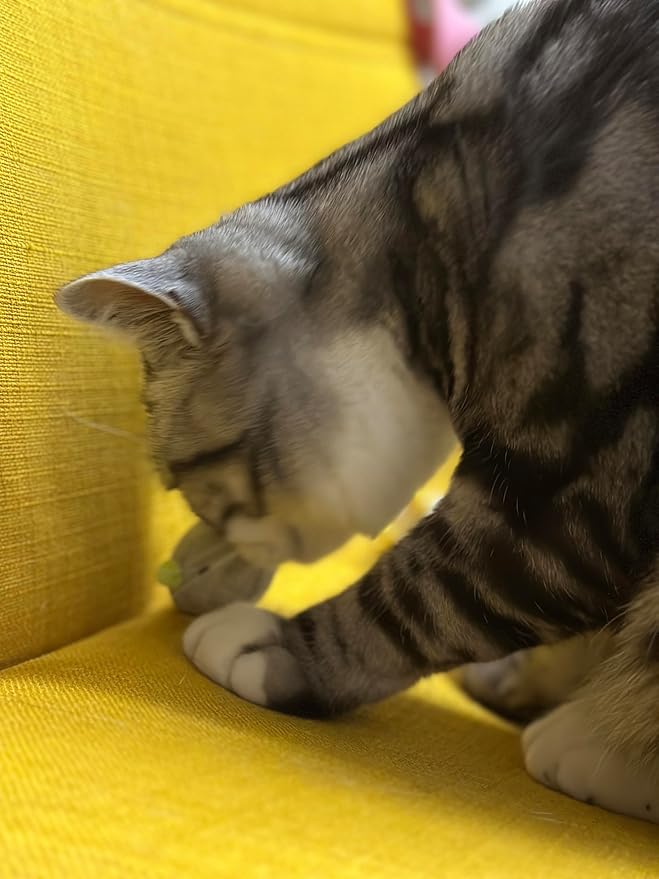 Durable Chew-Resistant Realistic Plush Mice Cat Teething Toys, Long-Lasting Interactive Kitten Toys