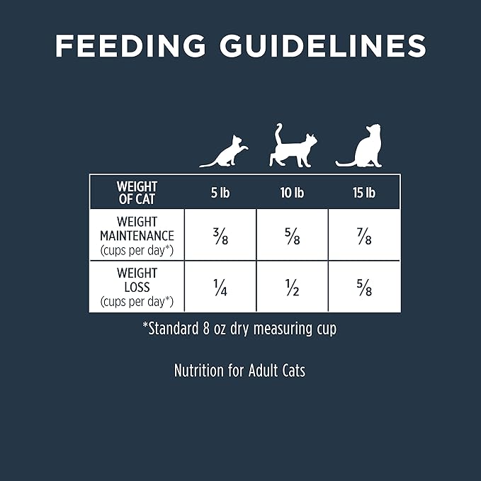 Instinct Raw Boost Healthy Weight, Natural Dry Cat Food with Freeze Dried Pieces, Grain Free Recipe - Real Chicken, 10 lb. Bag