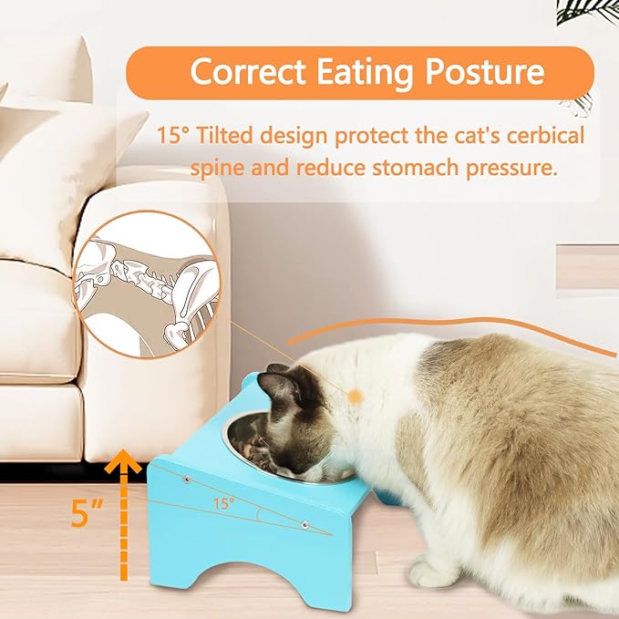 Elevated Cat Bowls,2 Stainless Steel Pet Food Water Feeder,15°Tilted Raised Pet Dish, Slanted Dog Bowl with Wood Stand for Kitty and Puppy,Wide 5.51" (Blue)