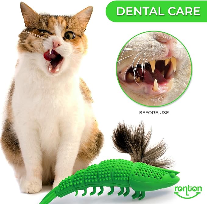 Ronton Cat Toothbrush - Durable Hard Rubber Cat Dental Care, Interactive Toothbrush Chew Toy (1 Pack Green (Shrimp))