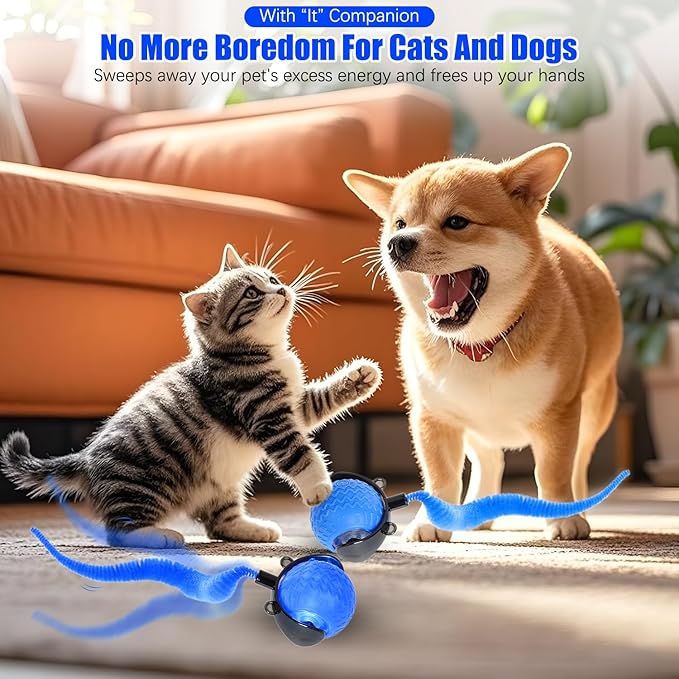 Cat Toys for Indoor Cats, Interactive Cat Toys for Bored Indoor Adult Cats, Automatic Speedy Ball Interactive, Electronic Rollie Pet Chase, Smart Interactive Tail Balls for Kittens (Blue)