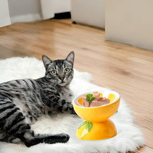 Hamiledyi Ceramic Raised Cat Bowl 5In Elevated Wide Cat Bowl for Food and Water Anti Vomiting Tilted Pet Feeder Dish for Indoor Cats and Small Dogs(Lemon)
