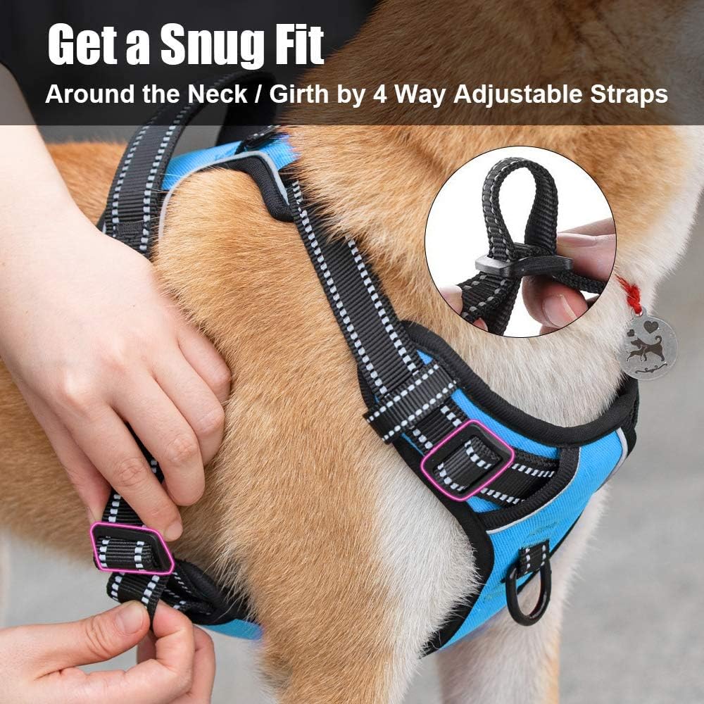 PoyPet No Pull Dog Harness, Reflective Comfortable Vest Harness with Front & Back 2 Leash Attachments and Easy Control Handle Adjustable Soft Padded Pet Vest for Small to Large Dogs (Blue,XS)