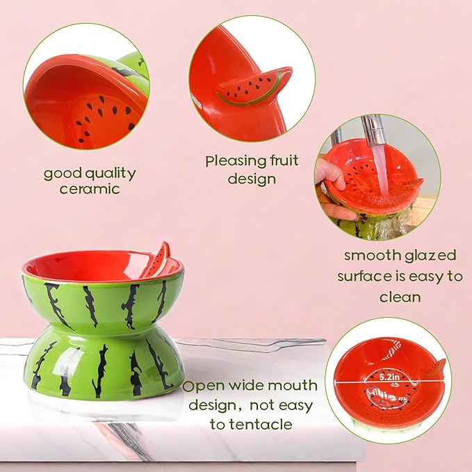 Hamiledyi Ceramic Raised Cat Bowl 5In Elevated Wide Cat Bowl for Food and Water Anti Vomiting Tilted Pet Feeder Dish for Indoor Cats and Small Dogs(Watermelon)