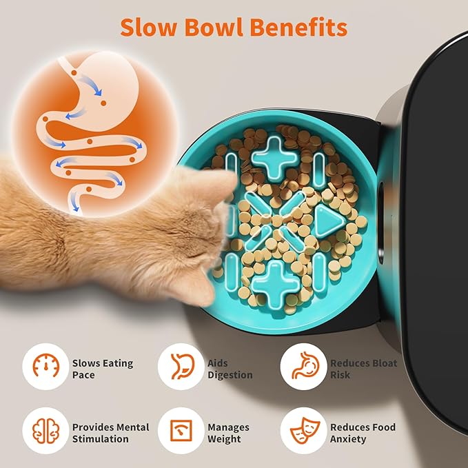 HoneyGuaridan Automatic Cat Feeder, 5G WiFi Cat Food Dispenser with App Control, Timed Feeder with Stainless Steel Bowl and Slow Bowl, Desiccant Bag