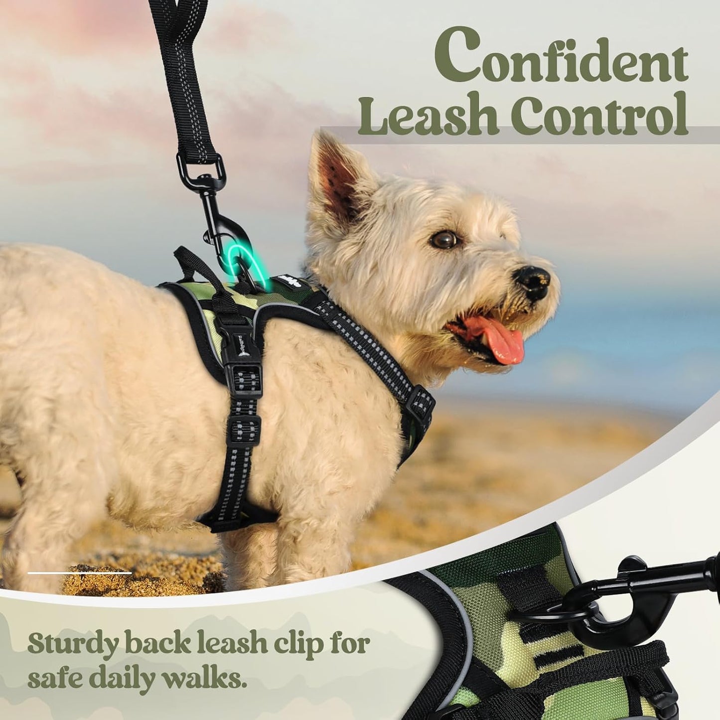 rabbitgoo Dog Harness No Pull with 2 Leash Clips, Adjustable Soft Padded, Reflective Oxford No Choke Pet Vest with Easy Control Handle for Large Dogs, Green Mountain,XS