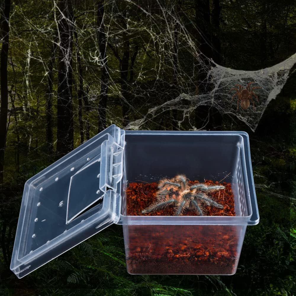 10 Pack Spider Terrariums Breeding Box Small Reptile Hatching Container Acrylic Feeding Box for Arboreal Spider Tarantula Mantis Scorpion Centipede Insect (5 High+5 Small)