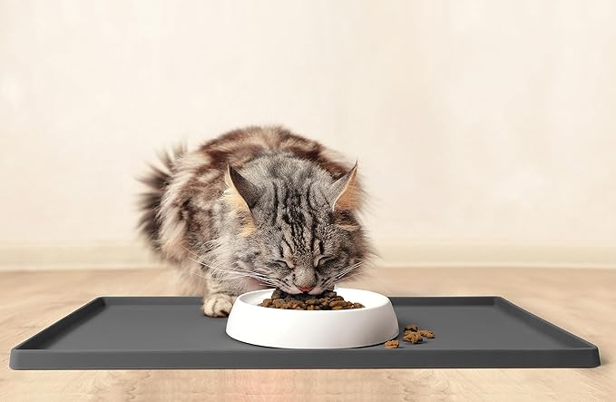 CatGuru Cat Bowls, Whisker Friendly Cat Food Bowl for Indoor Cats, Reliefs Whisker Fatigue, Wide Pet Bowl, Non Slip Pet Feeding Bowls, Shallow Kitten Dish (Set of 2, Ceramic, White)