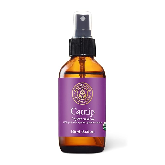 Aromatics International Catnip Hydrosol 100ml | Herbal Aromatic Mist for Daily Use