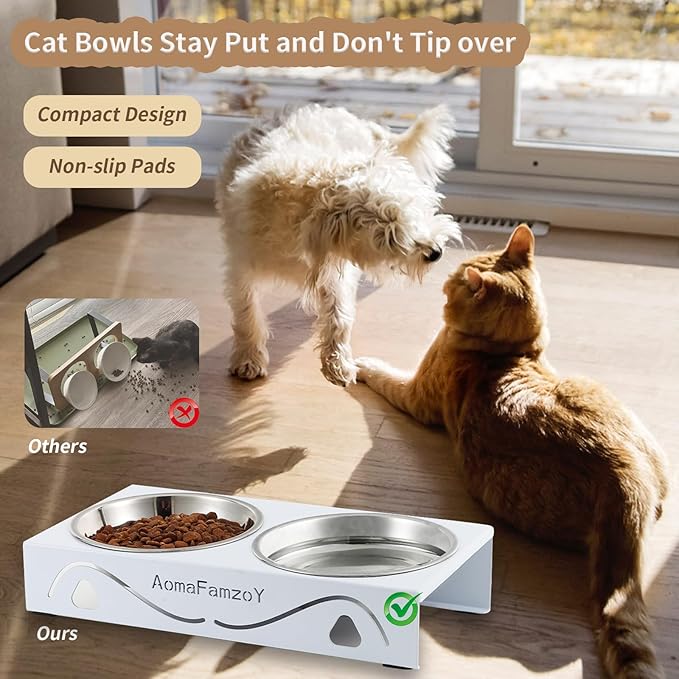 2 Pack Cat Food Bowls - Indoor Set with Metal Stand,5° Tilted Anti Vomiting Wide Raised Pet Dish, Cute Elevated Cat Feeding Station for Food Water, 4 Stainless Steel Bowls for Kitten, Puppy,White