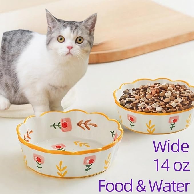 Premium Cat Food Bowl Set of 2, 6" Ceramic Shallow Weighted Bowls with Whisker-Fatigue Design for Indoor Cats, Perfect for Wet Food