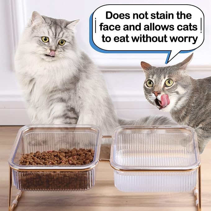 Elevated Double Cat Bowls,5.7" Pets Water and Food Bowl 15°Tilted Transparent Raised Kitten Food Feeding Dishes with Iron Stand Anti Slip Kitty Dishs Rose Gold Bowl Set for Kittiens Small Dogs