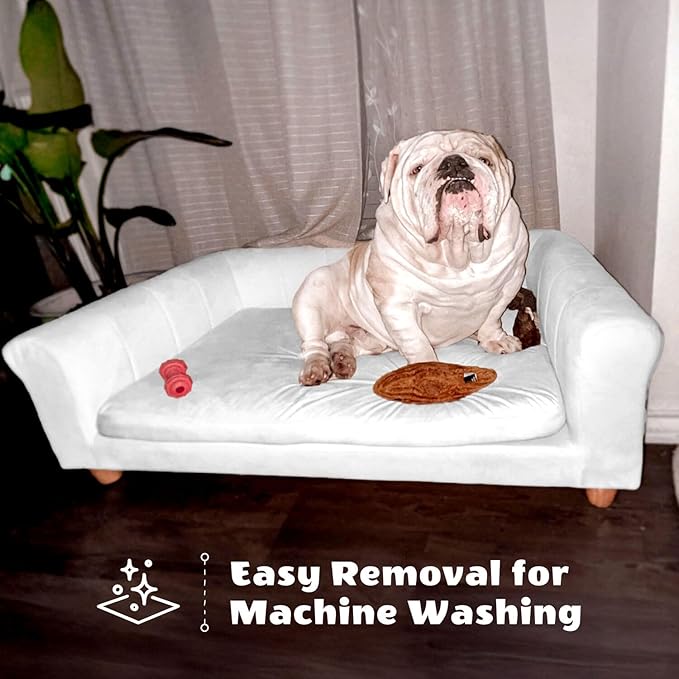 Critter Sitters 42-In. Elegant Cream Faux-Velvet Rectangular Dog Sofa for Medium and Large Dogs, Durable Elevated Dog Sofa Bed, Comfortable Dog Couch, Modern and Stylish Dog Sofa for Large Dogs