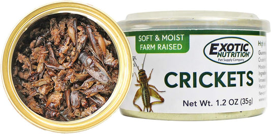 Canned Crickets (1.2 oz.) - Healthy High Protein Insect Treat - Hedgehogs, Sugar Gliders, Reptiles, Wild Birds, Chickens, Lizards, Bearded Dragons, Skunks, Opossums, Fish, Amphibians, Turtles