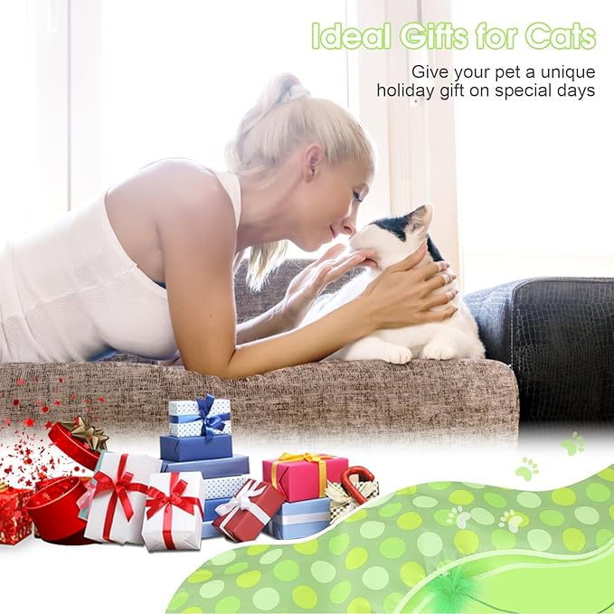 Interactive Cat Toy for Indoor Cats - Automatic Hide & Seek, Motion Activated Feathers, Squeaky Mouse, Touch Activated, USB Rechargeable - Top Bored Cat Toy