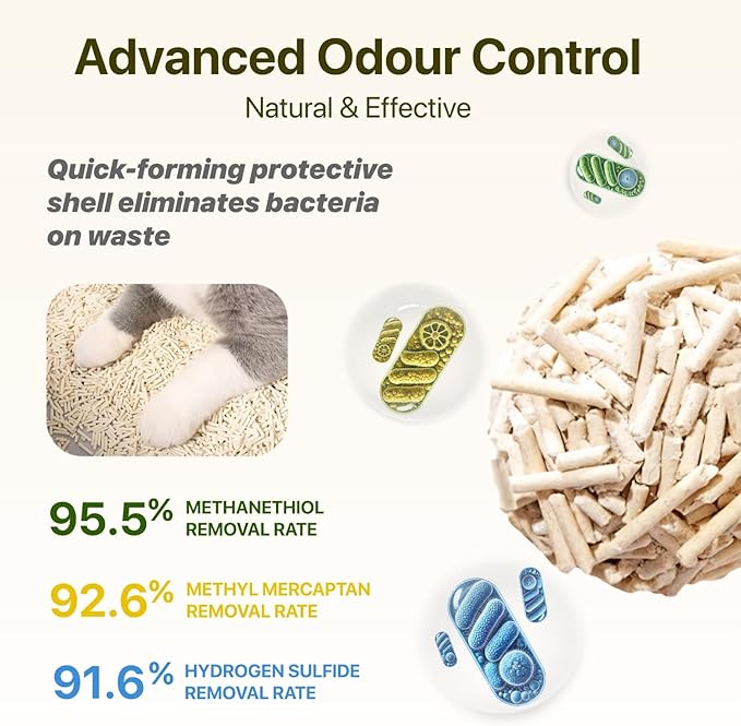 Tofu Cat Litter Natural Clumping Tofu Cat Litter, Fast Clumping and Easily Scoop-able 5.5lb/88oz 5 Scents - Original + Watermelon, 2 Pack