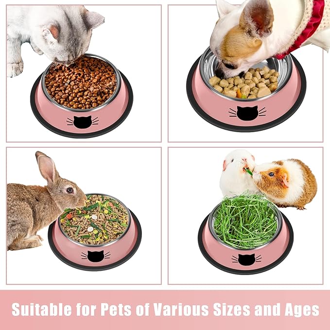2Pcs Cat Bowls Non-Slip Stainless Steel Small Cat Food Bowls Unbreakable Thicken Cat Feeder 7 Oz Cat Dishes Suitable for Indoor Small Pets Removable Rubber Base Easily Clean Lovely Color