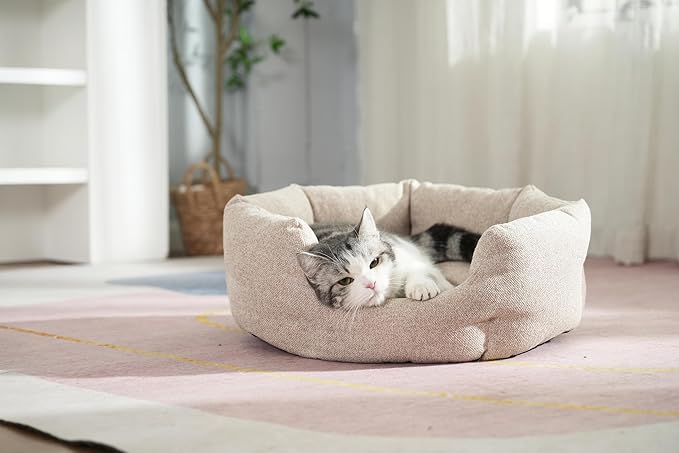 Washable Round Cat Beds for Indoor Cats,Dog Bed for Extra Small Dogs,Pet Sofa for Puppy and Kitty,Soft but Firm Year-Round Comfortable Pet Sofa with Non-Slip Bottom Beige 24 inches