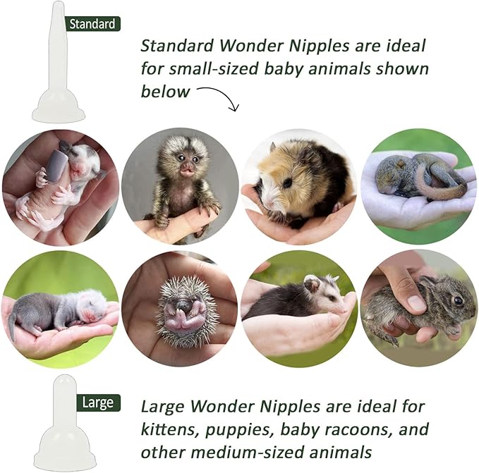 Wonder Nipple - Nursing Nipple for Baby Animals - Handfeeding Baby Squirrels, Sugar Gliders, Hedgehogs, Guinea Pigs, Racoons, Prairie Dogs, Opossums, and More! (Standard)