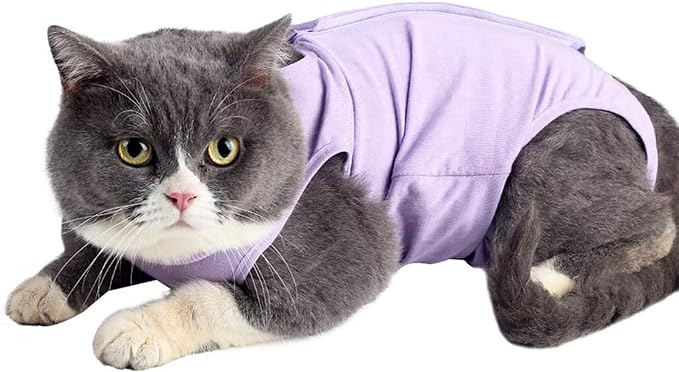 Cat Surgery Recovery Suit Cat Onesie for Cats After Surgery Spay Surgical Abdominal Wound Skin Diseases E-Collar Alternative Wear (Purple-S)