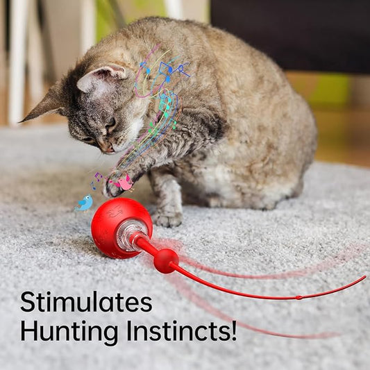 Interactive Cat Toy for Indoor Cats,Automatic Electric Self Rotating Ball with Chirping, Led Light and Long Tail for Motion Activated, Smart Spinning Ball for Fun Exercise, Red