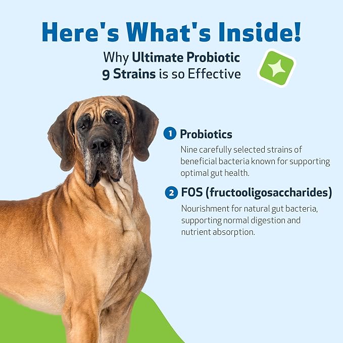 Pet Wellbeing - Ultimate Probiotic 9 Strains for Cats and Dogs - Natural Support for Digestion and Urinary Tract Health 160 Grams.