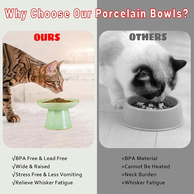 Wide Shallow 6.1" Raised Cat Bowls, Ceramic Elevated Food Bowl for Flat Faced Cats and Small Dogs, Porcelain Feeder Bowl, Stress Free, Protect Cat’s Spine, Green