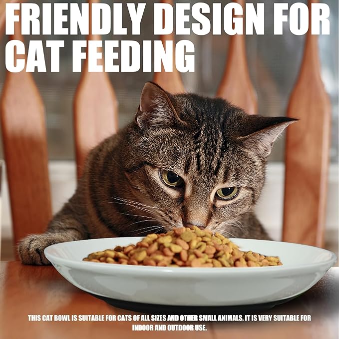 3Pcs Cat Food Bowls, Ceramic Cat Food Bowls with Nonslip Silicone Bottom, Anti Whisker Fatigue Cat Plates for Indoor Cats, Ceramic Pet Bowl with Wide Shallow Kitten Dishes for Dry and Wet Food