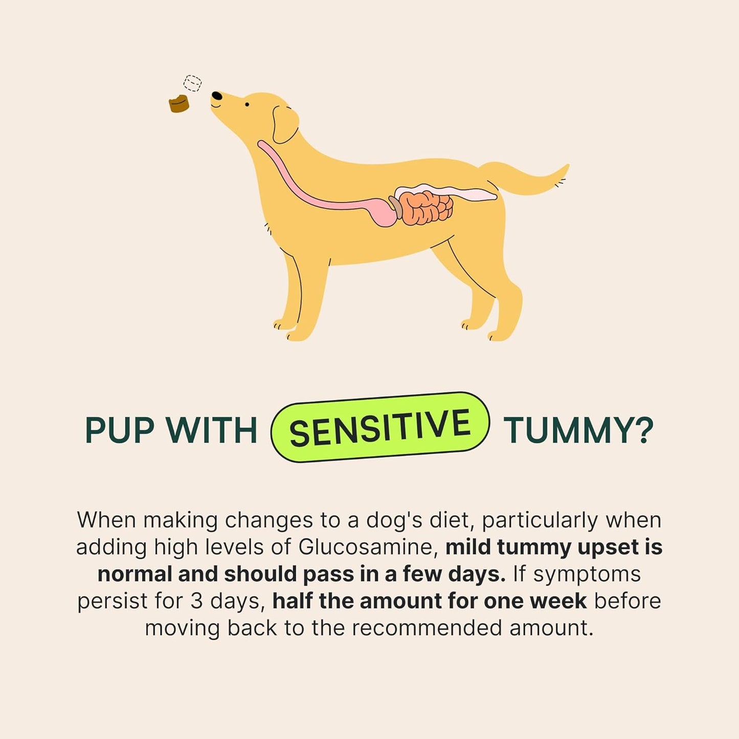 Wuffes Advanced Dog Hip and Joint Supplement with Glucosamine, Chondroitin, Omega 3, MSM, and Green Lipped Mussel, 120 Pork Flavored Chews for Small Dog Breeds