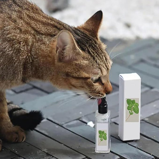 Kitty Joy Herbal Cat Joy, Herbal Cat Joy Spray, Celery Pets Catnip Spray, Catnip Spray for Indoor Cats, Cat Calming Spray, Anti Scratch Cat Spray, Cat Training Spray with Catnip, Cat Nip Spray (4PCS)