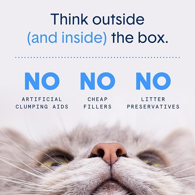 Boxie® Probiotic Cat Litter, Lightweight 40-Day Odor Control, Clumping, 6.5lb