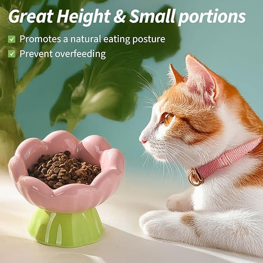 Ceramic Raised Cat Bowl Elevated, Tall & Tilted, Anti-Vomiting, Non-Slip, Cute Flower Cat Food Bowls for Dry Wet Food and Water, for Small Indoor Cats, Pink